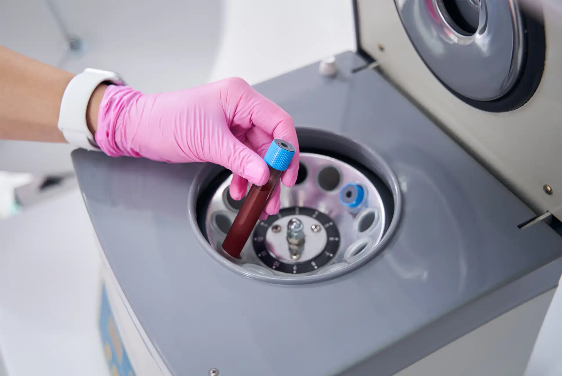 Regenerative Medicine Regenerative Medicine<br />
Division